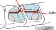 <p>What is pictured?</p>