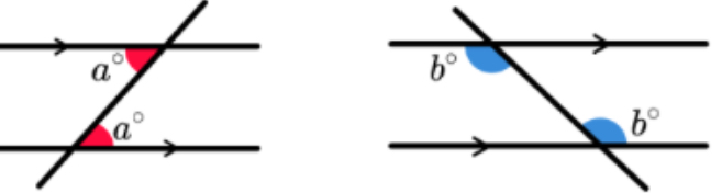 <p>Alternate angles (Z shape)</p>