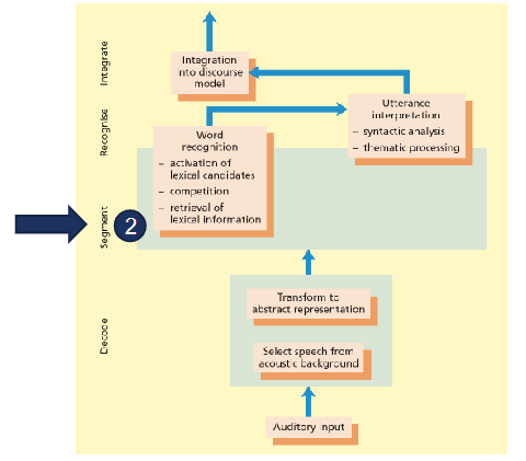 <p><span>Process of dividing speech into meaning- based units</span></p>