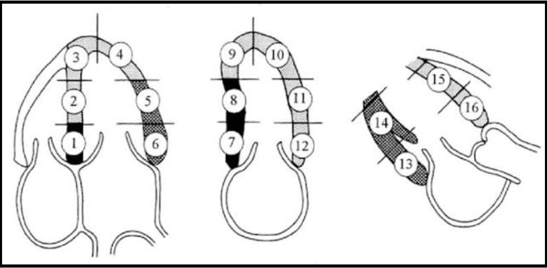 <p>15</p>