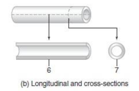 <p>Identify the body planes and sections given in number 6.</p>