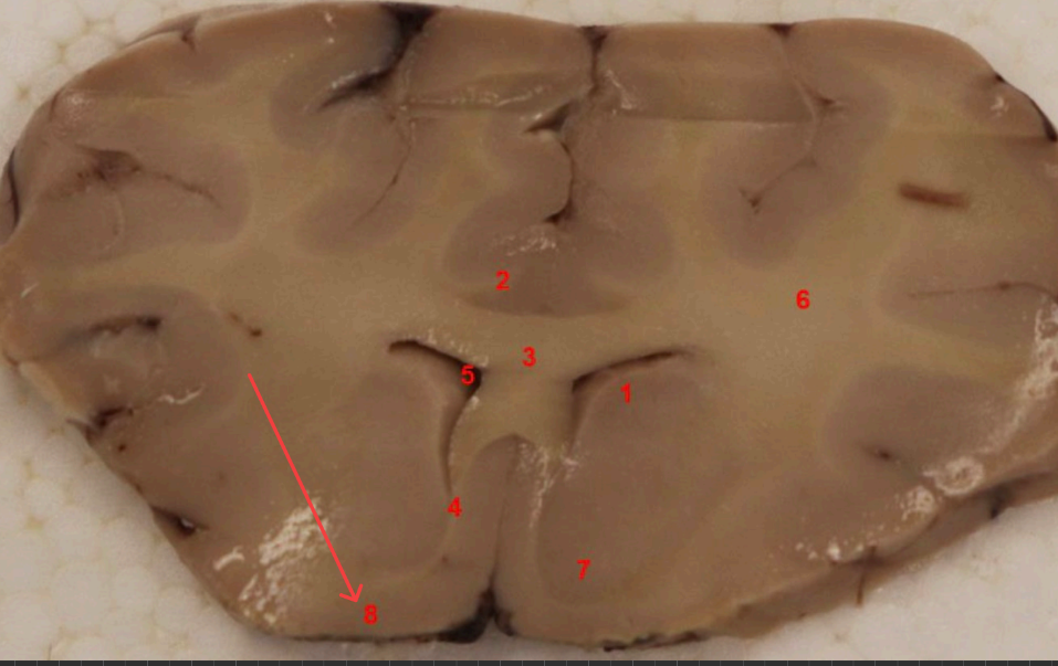 <p>what area is this</p>