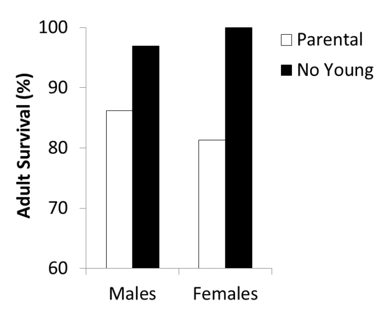 <ul><li><p> removed eggs from nests in late incubation (simulating predation) to reduce chick feeding effort to zero</p></li><li><p>Compared adult survival and future reproductive success with un-manipulated nests (where parents did have young to feed)</p></li><li><p>no young had higher survival rates</p></li></ul><p></p>
