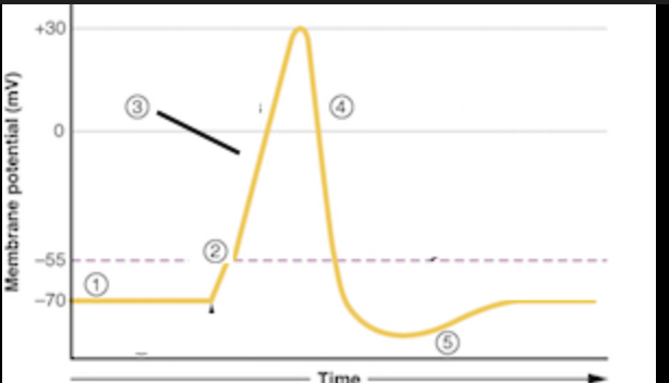 <p>what are the sections of this graph</p>