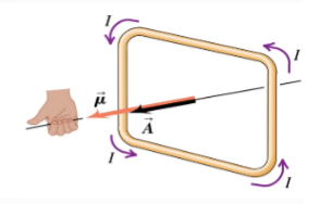 <p>circular loop of wire carries a current and is placed in a region of uniform B, the net magnetic torque on the loop</p>