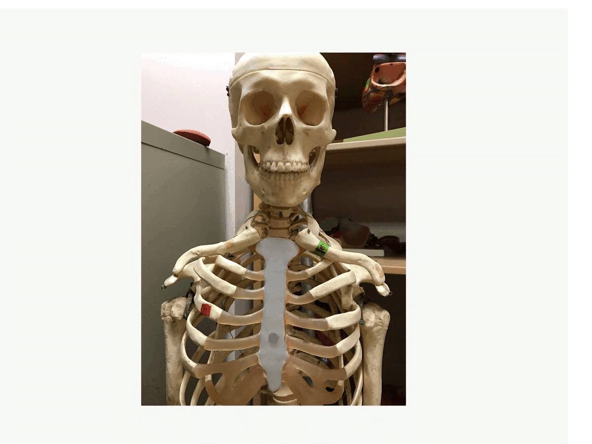 <p>What is this? </p>