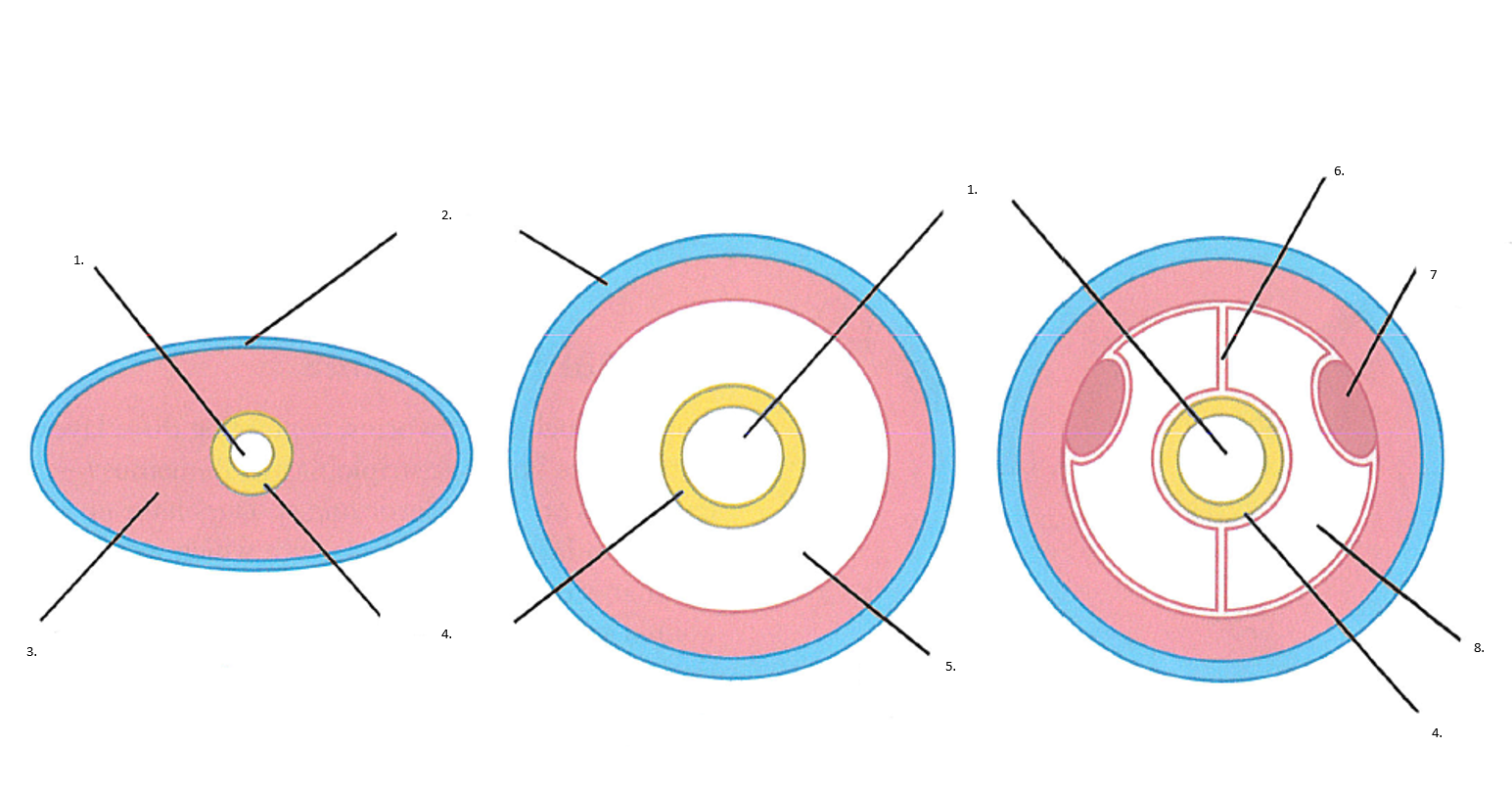<p>What is this?</p><p>Name the Parts </p>