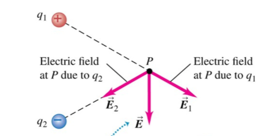 <p>1) superposition: <strong>E</strong> = <strong>E1</strong> + <strong>E2</strong></p><p>=> force on a charge q: <strong>F</strong>=q<strong>E</strong></p>