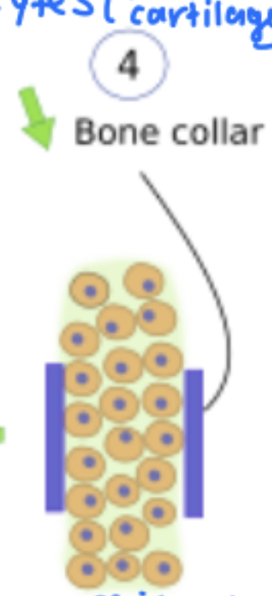 <p>What’s going on here?</p>