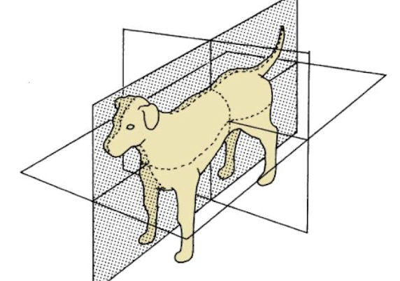 <p>What plane is being shown?</p>