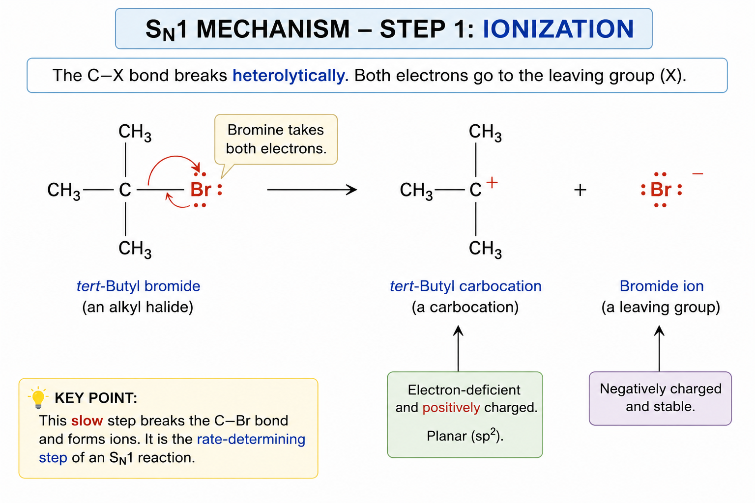 <p><u>The alkyl halide undergoes ionization first:</u></p><ul><li><p>The leaving group (Br, Cl, or I) leaves first.</p></li><li><p>A carbocation forms.</p></li><li><p>This must be an SN1 or E1 mechanism</p></li></ul><p></p>
