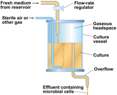 <p>Continuous culture (nutrients added, waste removed) → keep cells in log phase</p>