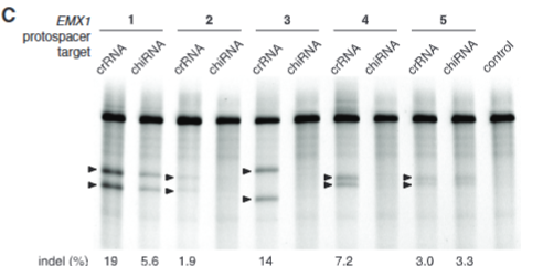 <p>explain fig 2C Cong</p>