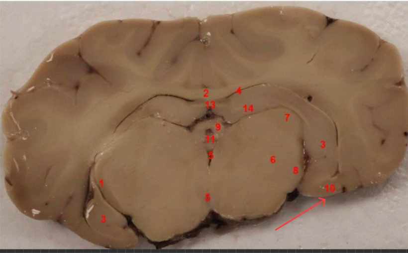 <p>what is this </p>