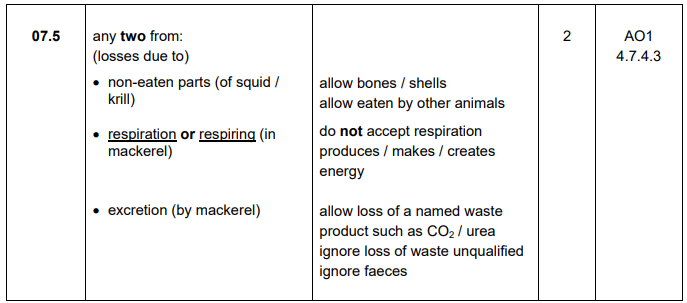<ul><li><p>Non-eaten parts</p></li><li><p><strong><u>Respiration</u></strong></p></li></ul><p></p>