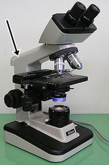 <p>What part of the microscope does the arrow indicate</p>