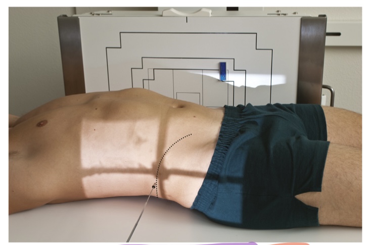 <p>name this position</p>