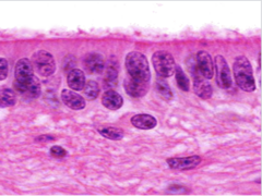 <p>What does this image show?</p>