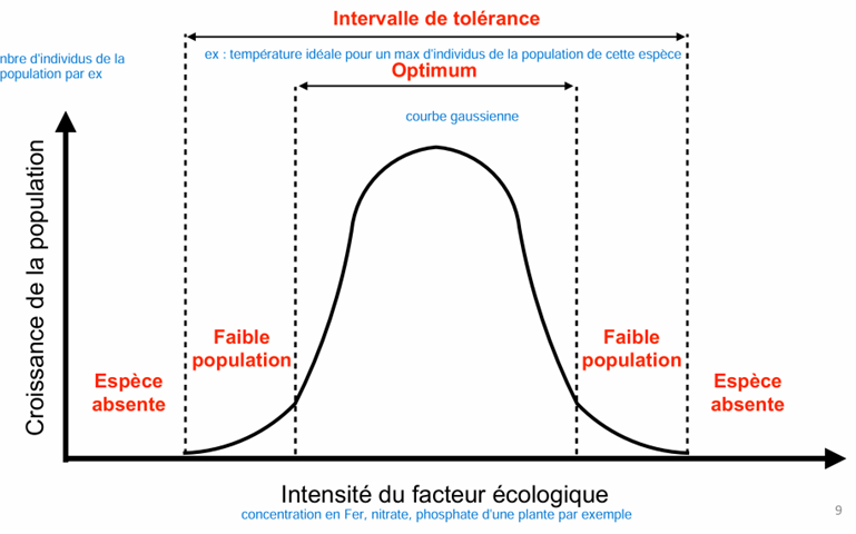 <p>Axe X : le facteur écologique (température, pH, nutriment…).</p><p>Axe Y : la réponse biologique (croissance, densité, performance).</p><p>La courbe ressemble souvent à une gaussienne : faible performance aux extrêmes, maximale à une valeur intermédiaire (optimum). Cette représentation sert à définir les limites de survie et les conditions préférées.</p>