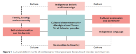 <p><span>The cultural determinants of wellbeing originate from and promote a strength-based perspective, acknowledging that stronger connections to culture and Country build stronger individual and collective identities, a sense of self-esteem and resilience. Health incorporates individual and community, social, emotional, spiritual and cultural wellbeing.</span></p><p>2 cultural determinants: Cultural continuity and self-determination. </p><p><span>Many determinants of wellbeing, from influences in physical environment to economic factors. Culture is an important determinant of wellbeing. For Aboriginal and Torres Strait Islander peoples, culture can be understood as encompassing a strong sense of identity, values, tradition, and connection between the past, present, and future that drives behaviour and beliefs. </span></p>