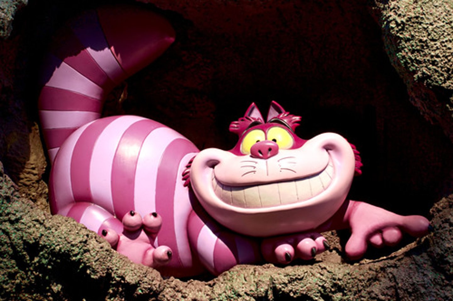 <p>to grin</p>