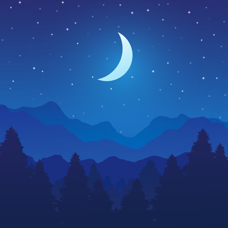 <p>Es ist Nacht.</p>