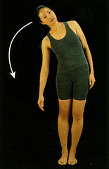 <p>Side bending of the neck or trunk away from the midline (ear to shoulder)</p>