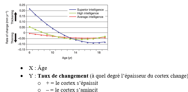 <p><span style="line-height: 107%;">— </span><span style="font-family: "Times New Roman", serif; line-height: 107%;">Tôt dans le développement, cerveau enfants QI supérieur </span><span style="line-height: 107%;">à</span><span style="font-family: "Times New Roman", serif; line-height: 107%;"> taux de changement plus important (cerveau change plus)</span></p><p></p><p class="MsoListParagraph"><span style="line-height: 107%;">— </span><span style="font-family: "Times New Roman", serif; line-height: 107%;">Différence fondamentale entre QI supérieur vs haut/moyen&nbsp;:</span></p><p class="MsoListParagraph"><span style="font-family: "Courier New"; line-height: 107%;">o</span><span style="font-family: "Times New Roman"; line-height: normal; font-size: 7pt;">&nbsp;&nbsp; </span><span style="font-family: "Times New Roman", serif; line-height: 107%;"><strong>QI supérieur&nbsp;: cerveau change plus (+ haut taux de changement)</strong></span></p><p class="MsoListParagraph"><span style="font-family: "Courier New"; line-height: 107%;">o</span><span style="font-family: "Times New Roman"; line-height: normal; font-size: 7pt;">&nbsp;&nbsp; </span><span style="font-family: "Times New Roman", serif; line-height: 107%;"><strong>Implique plasticité cérébrale accrue pour ce groupe</strong></span></p>