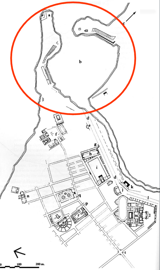 term image