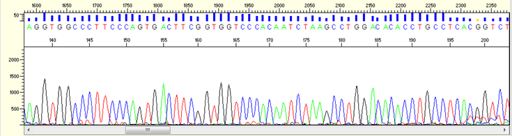 <p>_________ involves targeting a certain region of the genome, amplifying it, and reading the DNA sequence in that region</p>