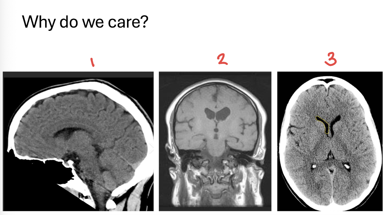 <p>What is number 3?</p>