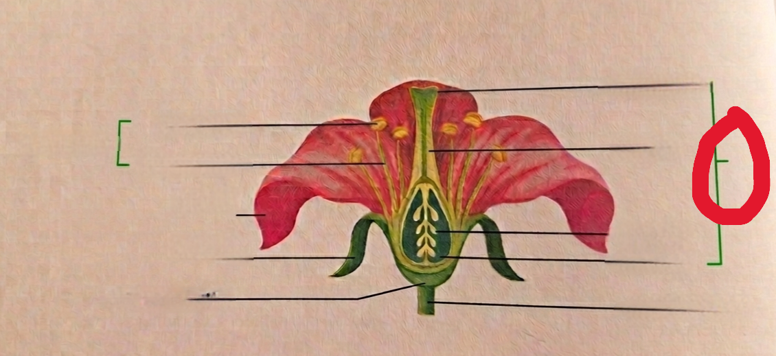 <p>What is this?</p>