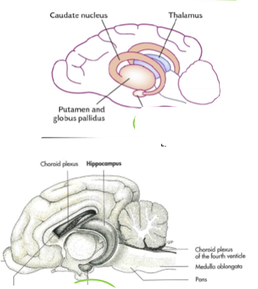 <p>Nedre pile / Grön cirkel, funktion</p>
