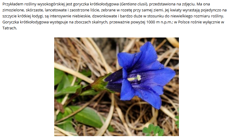 <p>związek budowy zewnetrznej goryczki krótkołodygowej z warunkami jej bytowania</p>