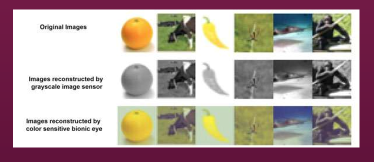 <p>Could be greyscale, could be blurry or need to be reconstructed</p>