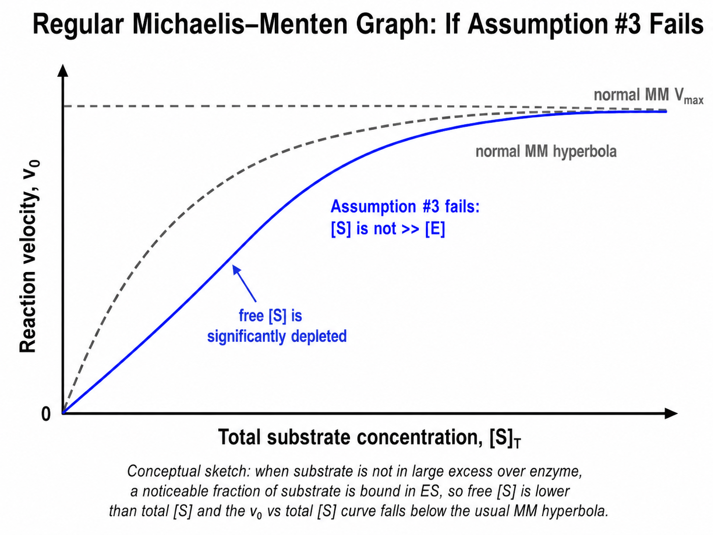 <p>The concentration of substrate is greater than the concentration of free enzyme</p><p></p><p>When it fails:</p><ul><li><p>enzyme molecules are present in amounts comparable to or exceeding substrate</p></li><li><p>this assumption is directly linked to assumption 2 (steady state requires [S]»[E]</p><ul><li><p>both assumption #2 and #3 fail together</p></li></ul></li><li><p>[ES] never stabilizes, it rises and falls too quicly</p></li><li><p>steady state breaks down simultaneously </p></li><li><p>Km and Vmax are underestimated and unreliable </p></li></ul><p></p>