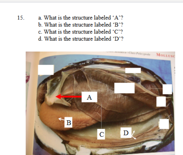 <p>identify and define function</p>