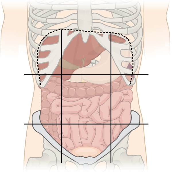 <p>4th</p>