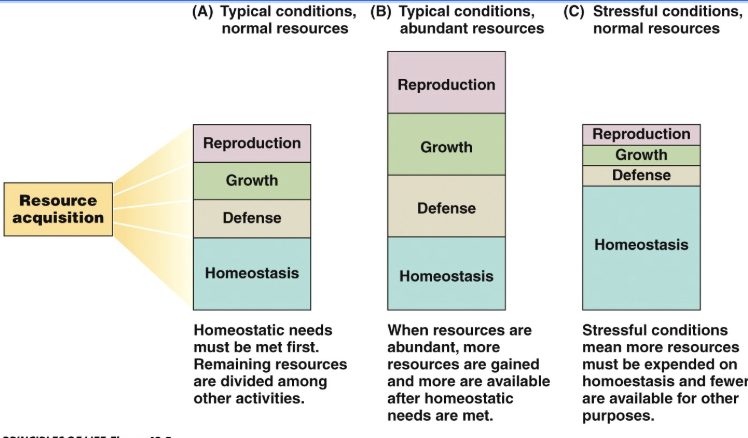 <p><span style="background-color: transparent;"><strong>Principle of allocation</strong></span></p>