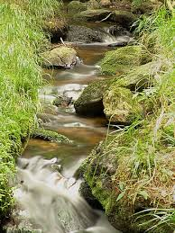<p>physical characteristics of streams </p>