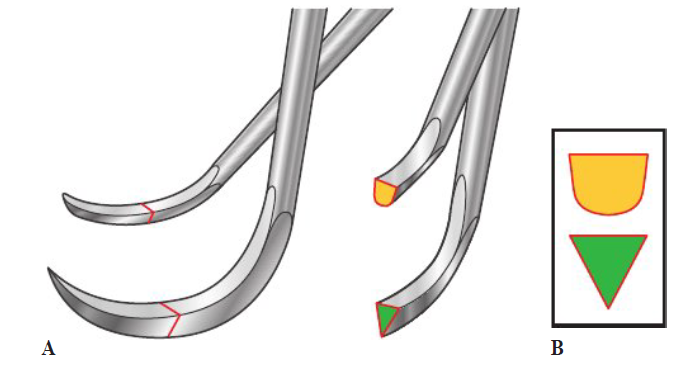 <ul><li><p>Explains why curets and sickles are different </p></li></ul><p></p><p><strong>Cross section</strong></p><ul><li><p>View obtained by cutting instrument perpendicular to its length </p><ul><li><p>Ex: Cutting a pencil in half or cutting tree to see growth rings </p></li><li><p>Cross section of pencil = hexagon shaped</p></li></ul></li><li><p>Cross section of working ends = determins if it can be used subgingivally or supragingivally</p></li></ul><p></p><p><strong>A.</strong> Imagine cutting working ends of periodontal instruments</p><p><strong>B.</strong> After cut is made — cross sections visible</p><ul><li><p><strong>Top </strong>= semi—circular </p></li><li><p><strong>Bottom </strong>= triangular</p></li></ul><p></p>