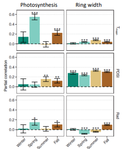 <p>Decoupling between photosynthesis and growth 2?</p>