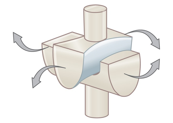 <p>what type of joint is this?</p>