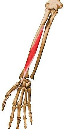 <p>?</p>