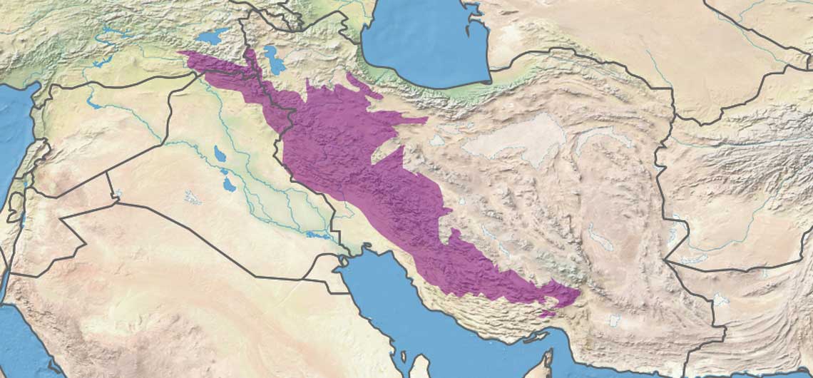 <p>Zagros Mountains </p>