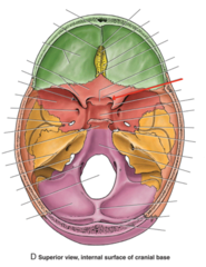 <p>What is the red arrow pointing to?</p>