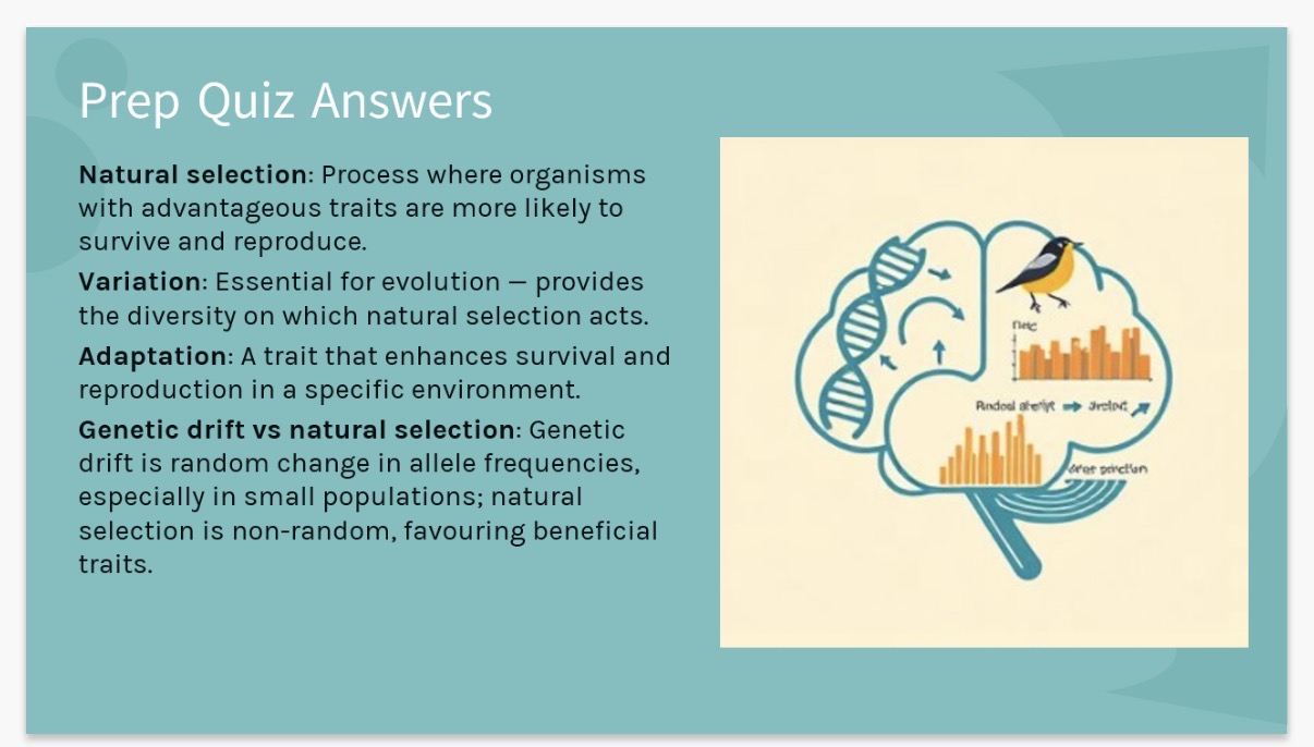 <p>Evolution:Organisms evolving over generations through inherited trait changes.</p><p>Natural Selection: Where Individuals with beneficial traits survive and pass genes to offspring.</p><p>Variation: Differences in species due to mutations, meiosis, and sexual reproduction.</p><p>Phenotype: The observable traits of an organism shaped by genes and environment.</p><p></p>