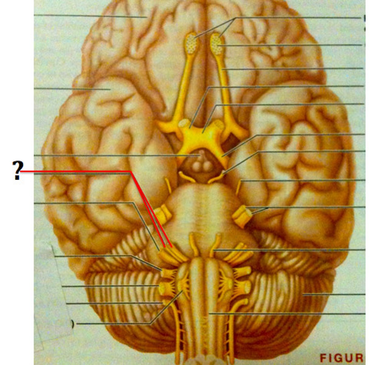 <p>VII.</p>