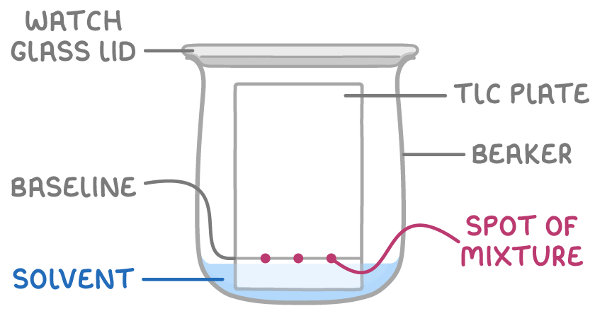<ol><li><p>draw a line in pencil near the bottom of the TLC plate</p></li><li><p>add small drops of each mixture to be separated along the initial pencil line using a capillary tube</p></li><li><p>leave the spots to dry</p></li><li><p>place TLC plate in a beaker w/ a small amount of solvent - the level of the solvent must be below the baseline - and cover the top with a watch glass</p></li><li><p>the solvent (mobile phase) will move up the plate, separating the different substances in the mixture</p></li><li><p>leave until the solvent almost reaches the top of the plate and use a pencil to mark this as the solvent front</p></li><li><p>leave to dry</p></li><li><p>reveal using a UV lamp or using iodine/potassium permanganate</p></li></ol><p></p>