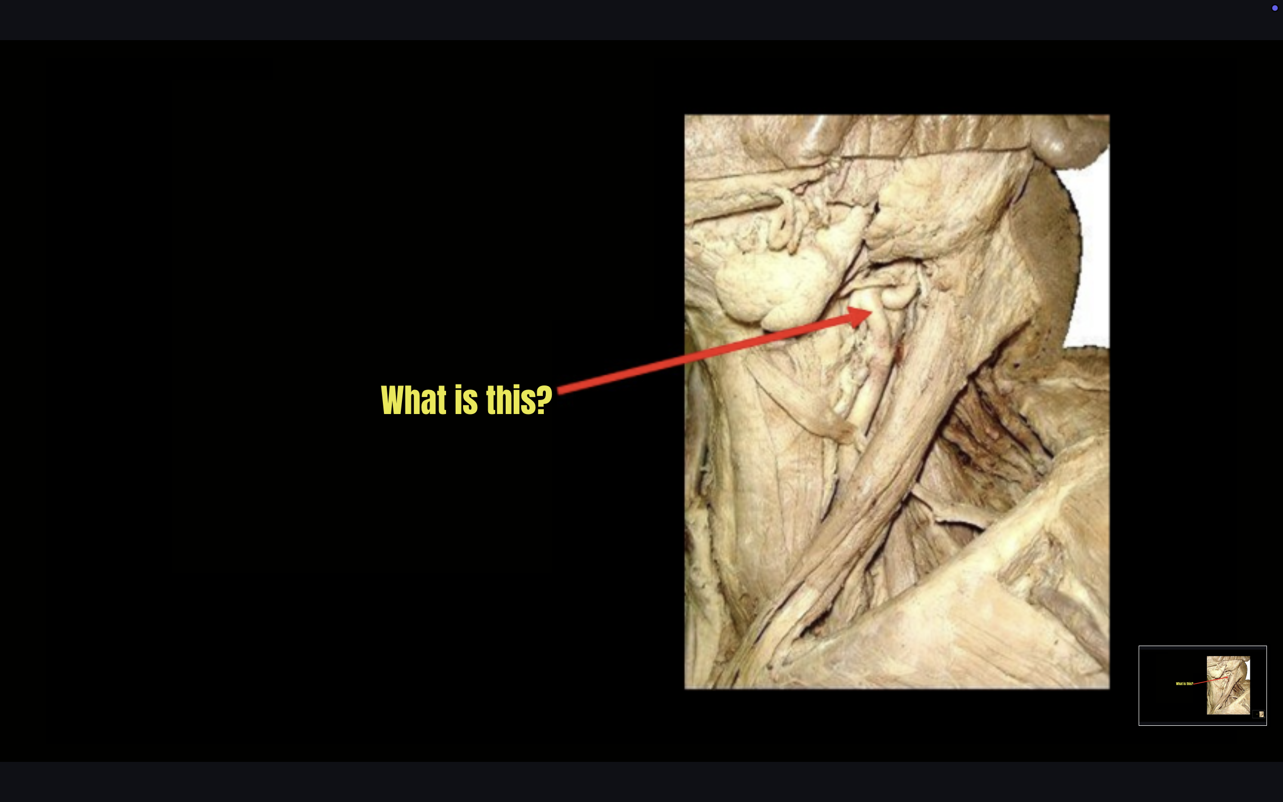 term image